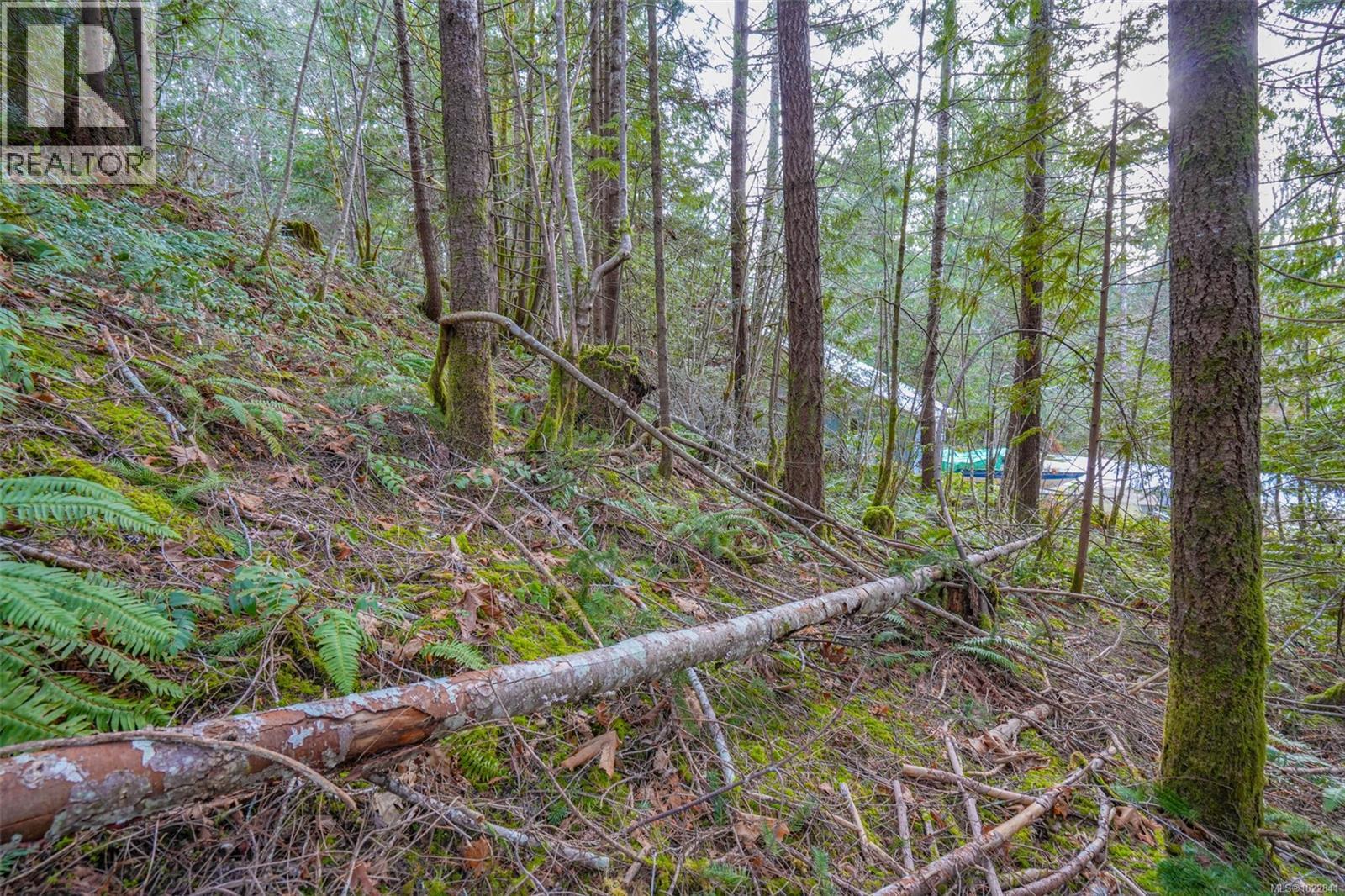 10440 Wilson Rd, Port Alberni