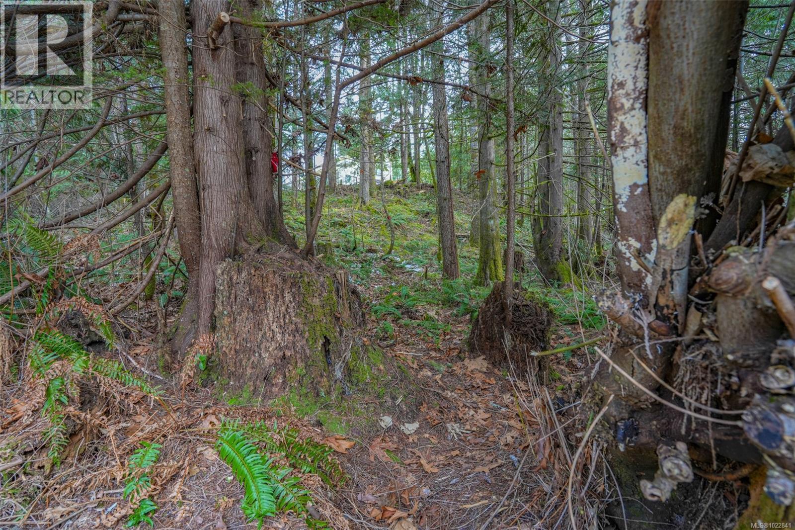 10440 Wilson Rd, Port Alberni