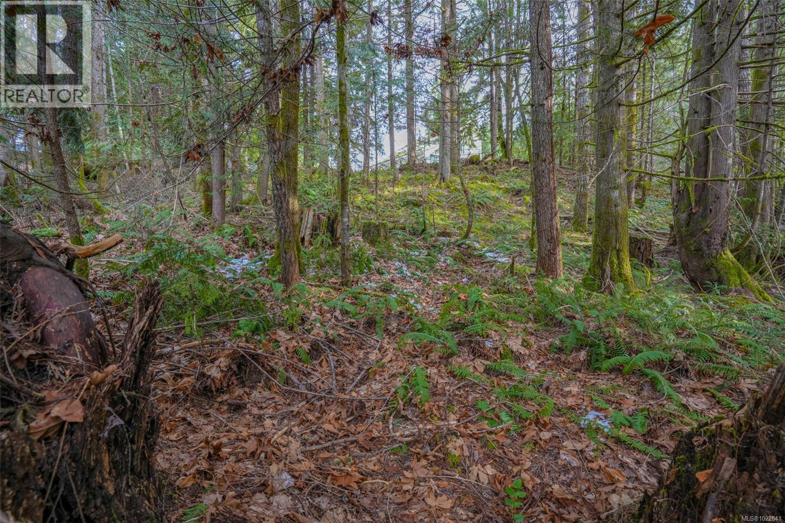 10440 Wilson Rd, Port Alberni