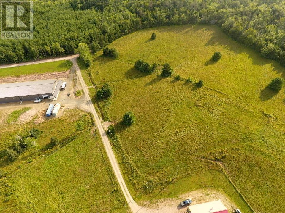 220 Campbell Road - 13