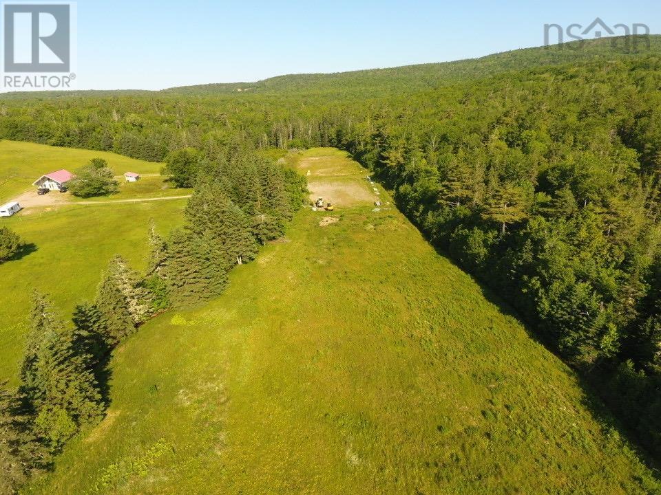 220 Campbell Road - 12