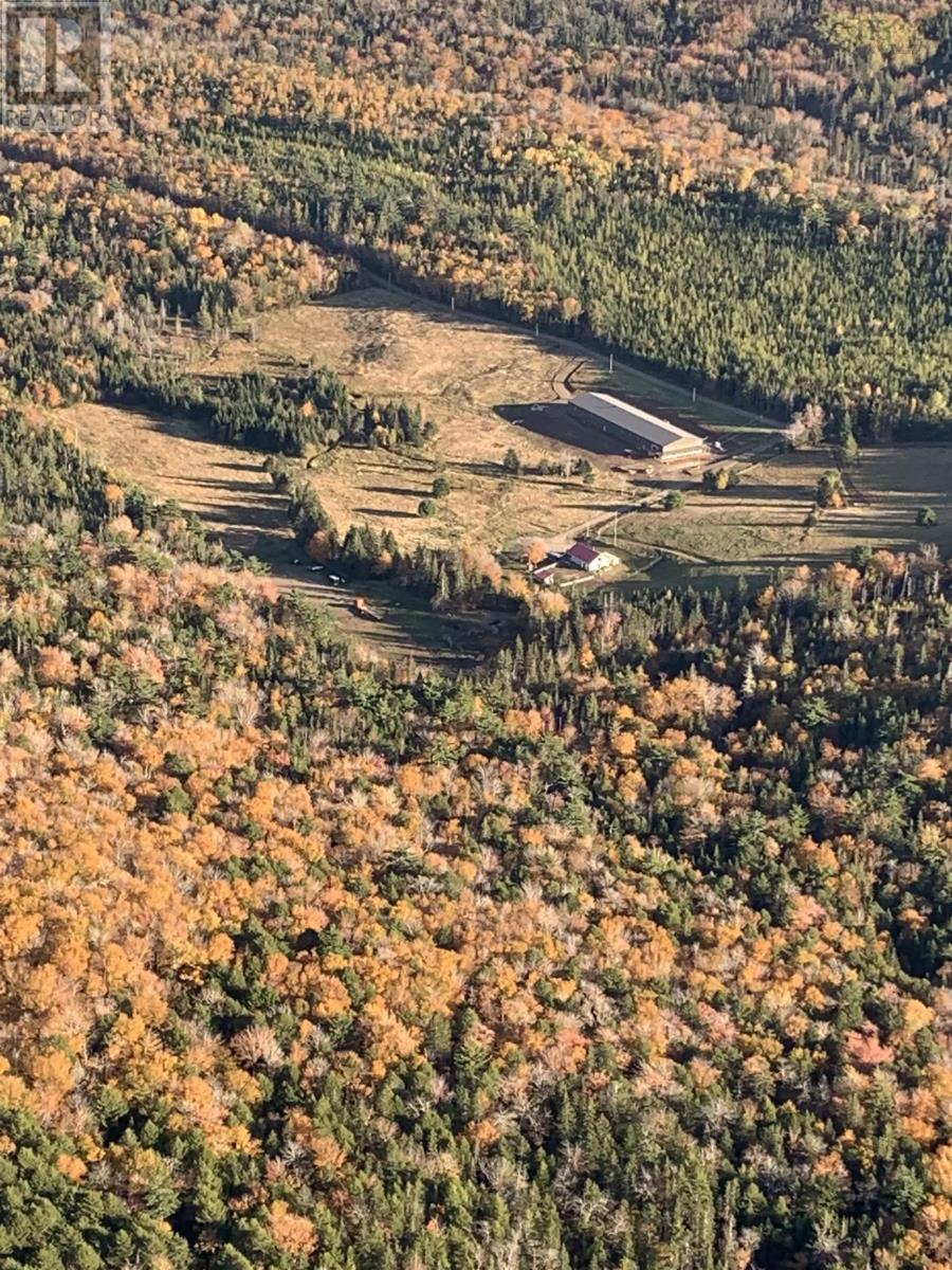 220 Campbell Road - 24