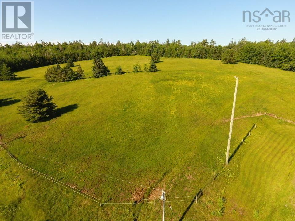 220 Campbell Road - 8