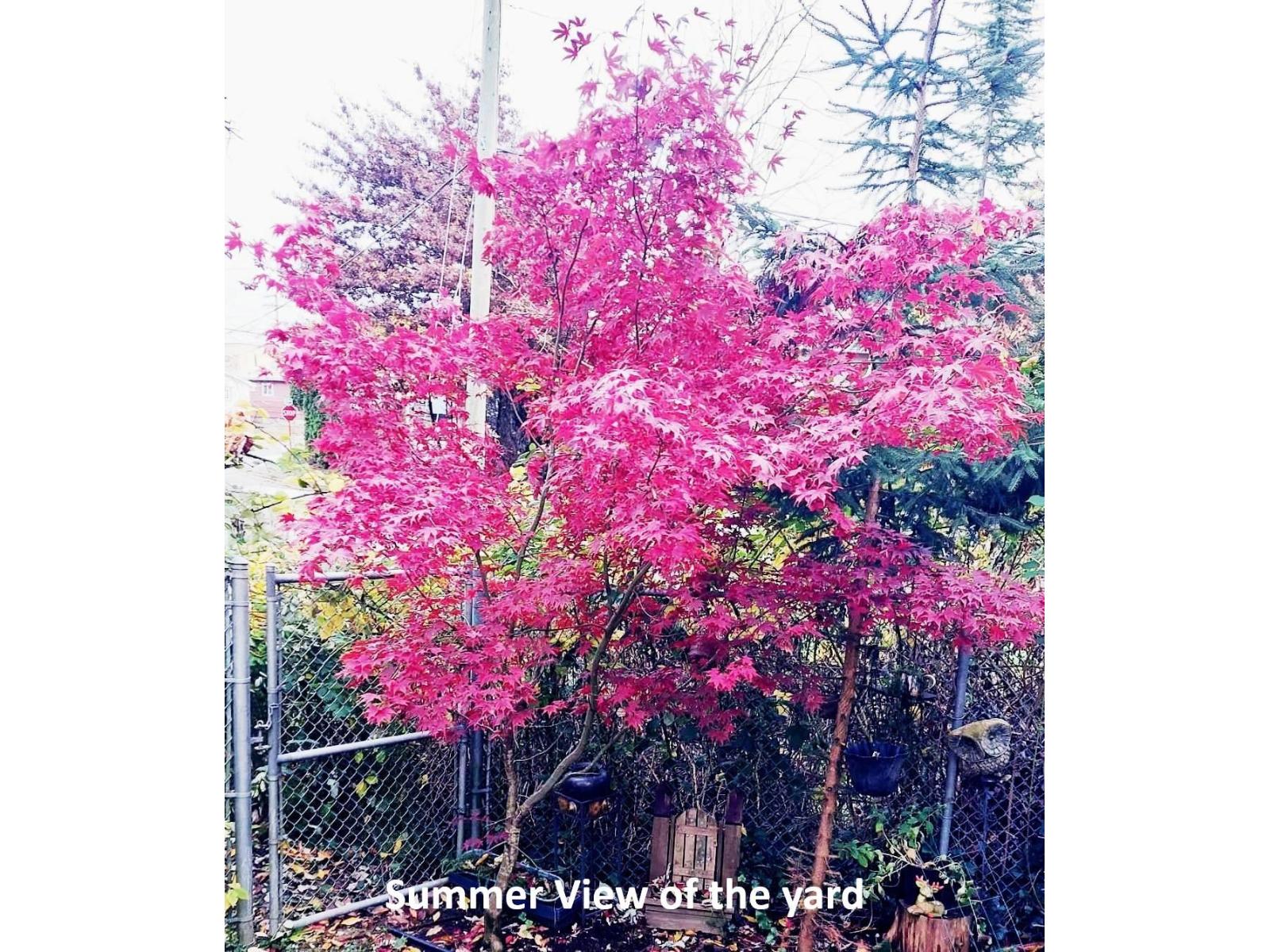 24 27090 32 AVENUE, Langley