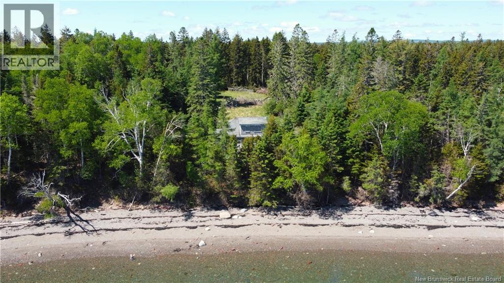 NAVY ISLAND - Image 9