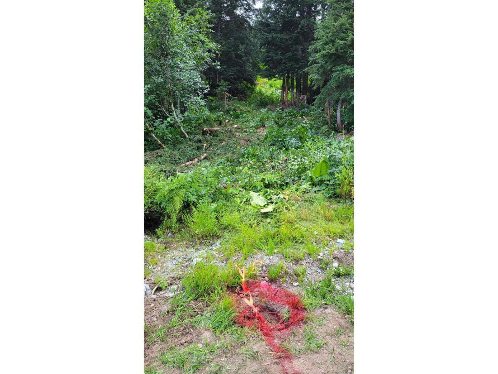 20698 EDELWEISS Drive - photo 2