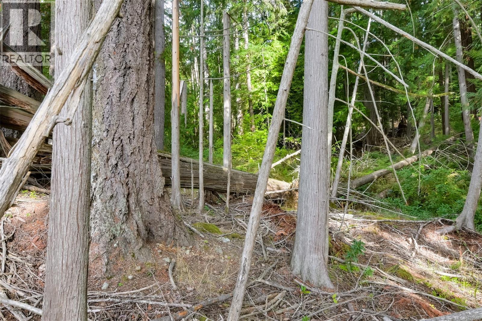  Lot 11 Katy's Crescent, Shawnigan Lake