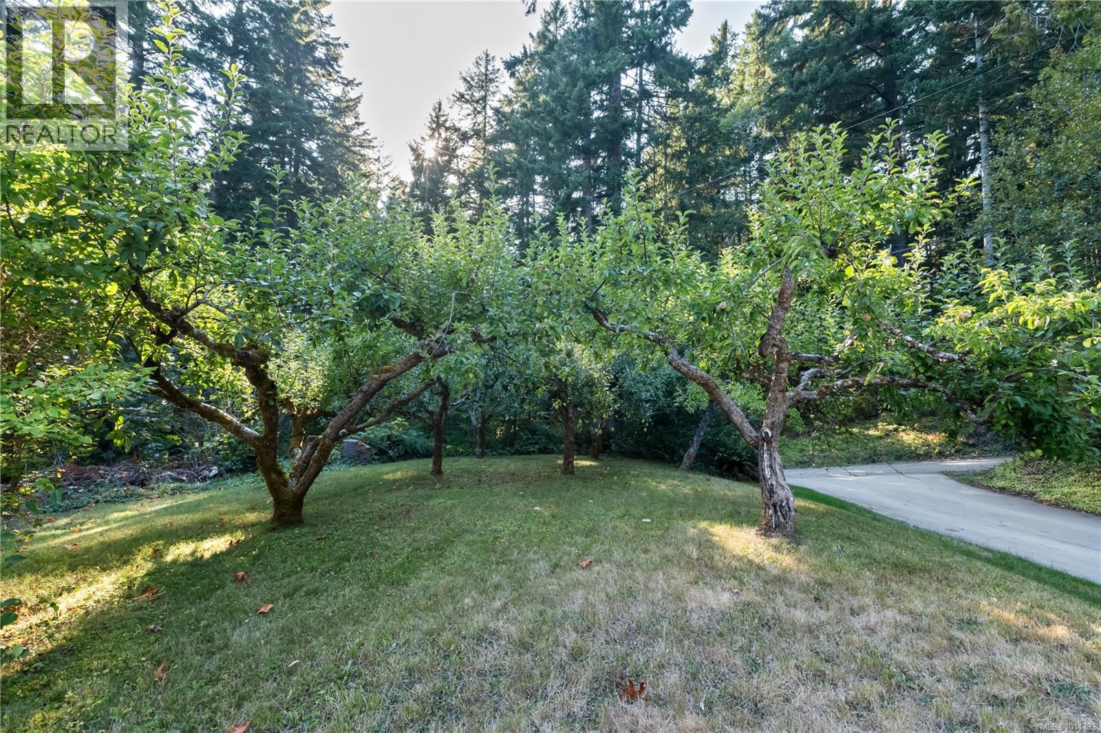 1850 Alberni Hwy, Port Alberni