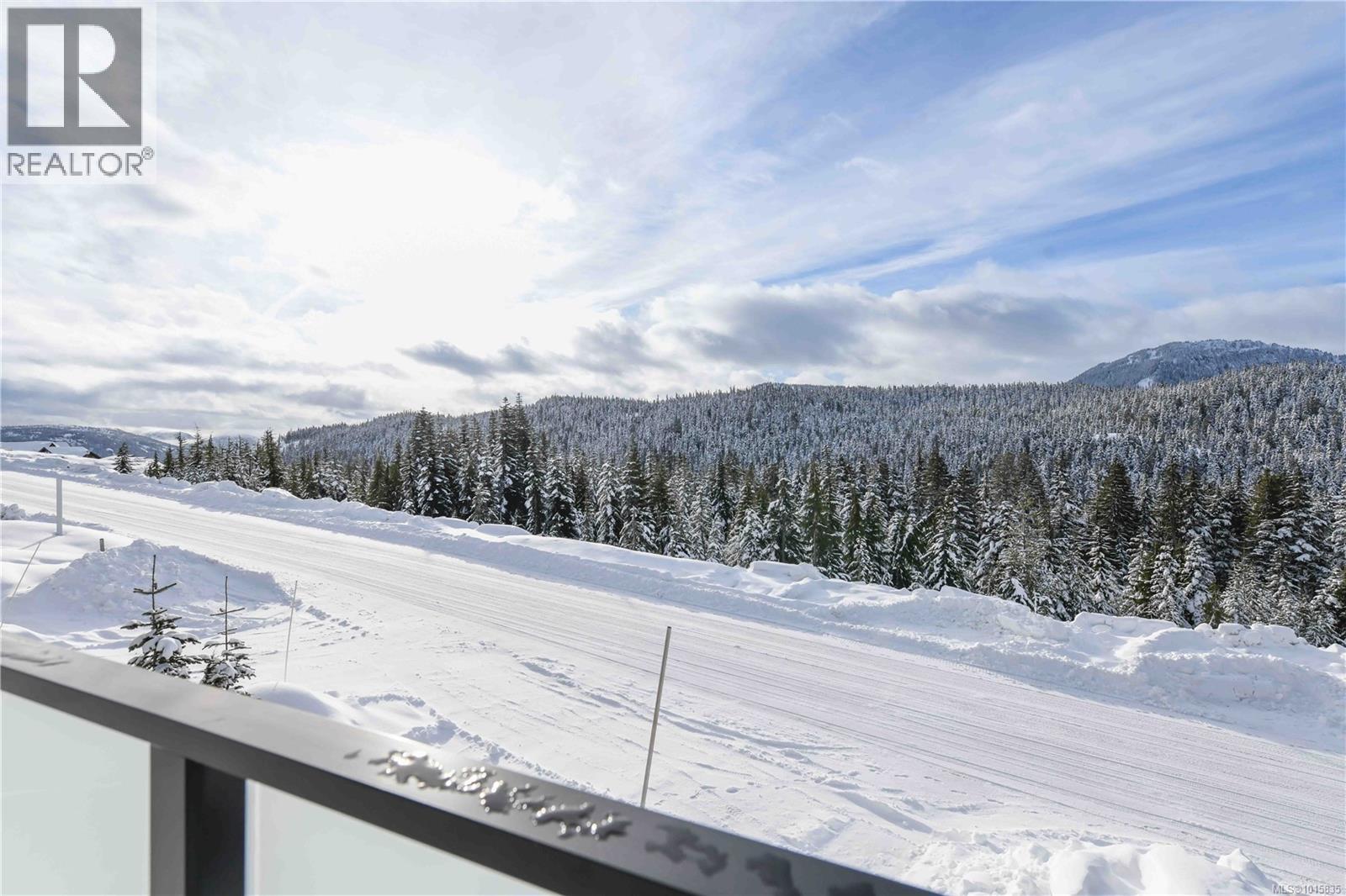 860 Cruikshank Ridge, Courtenay