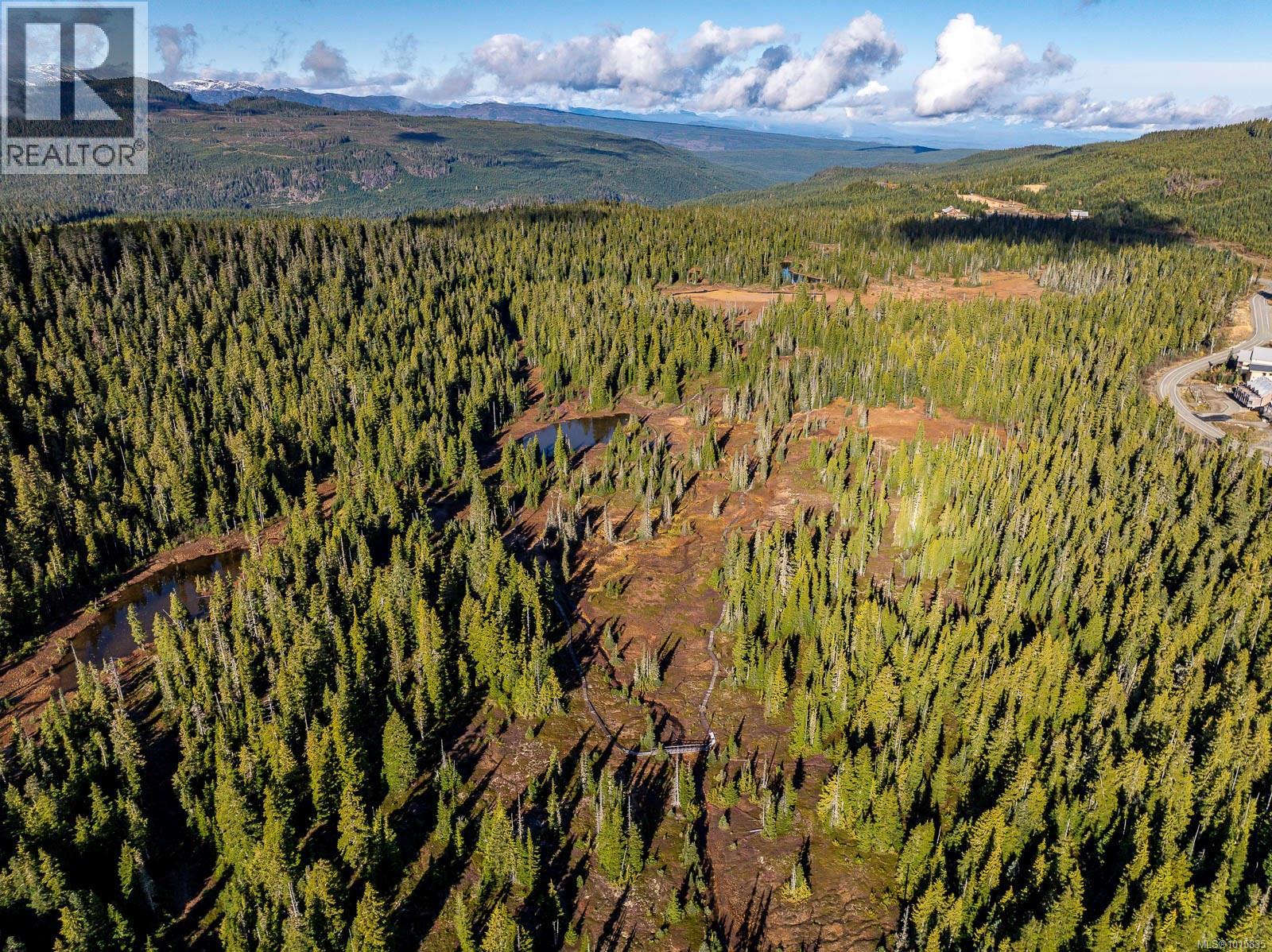 860 Cruikshank Ridge, Courtenay