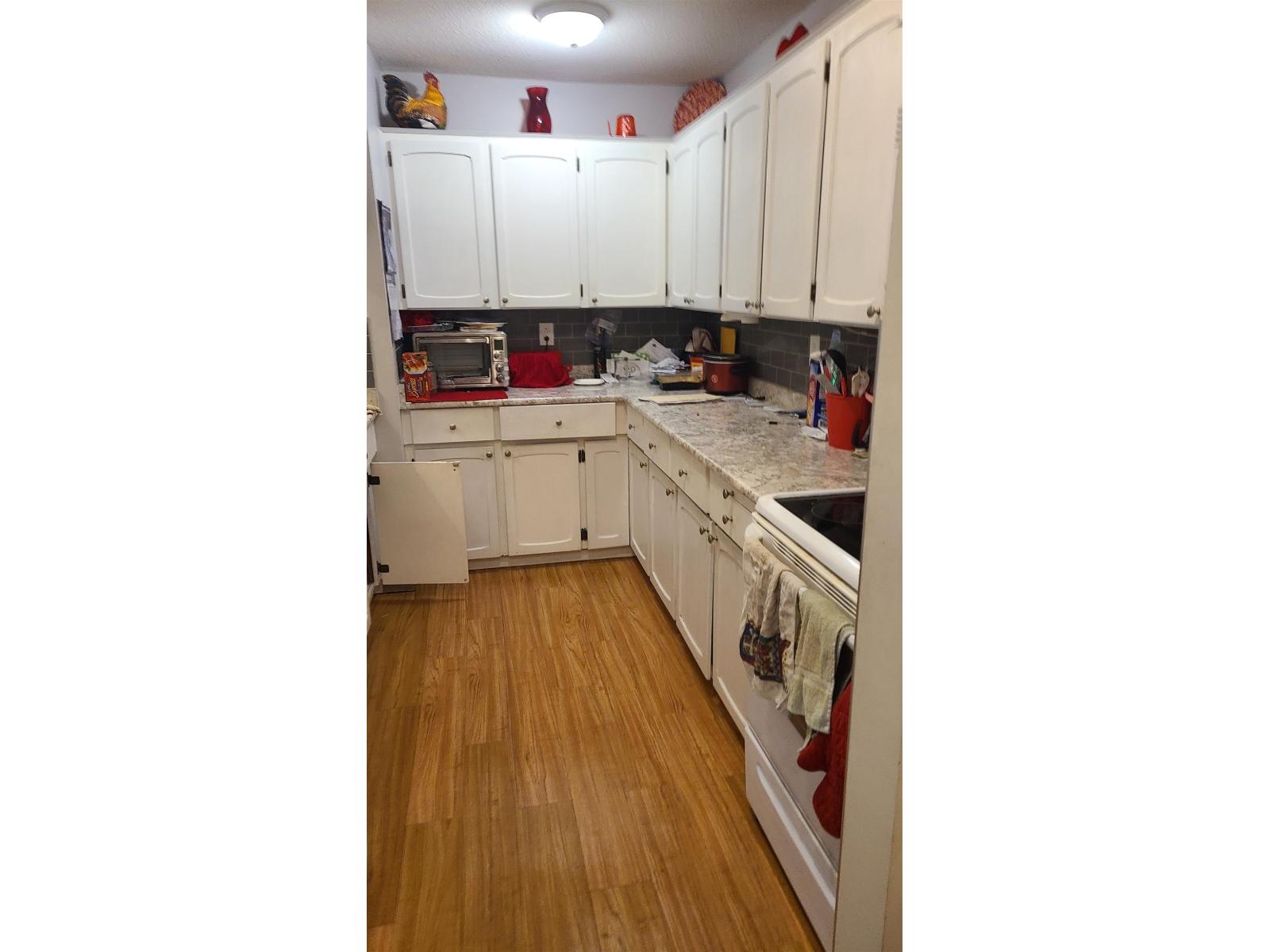 306 1354 WINTER STREET, White Rock