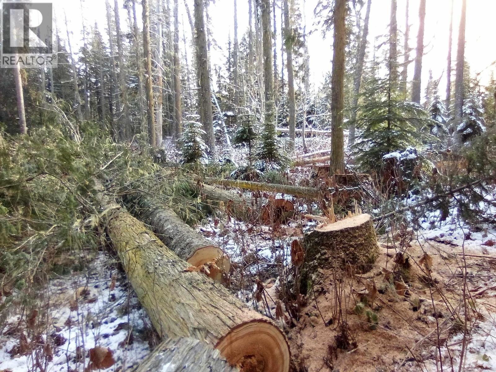 BLK D DOME CREEK, Dome Creek