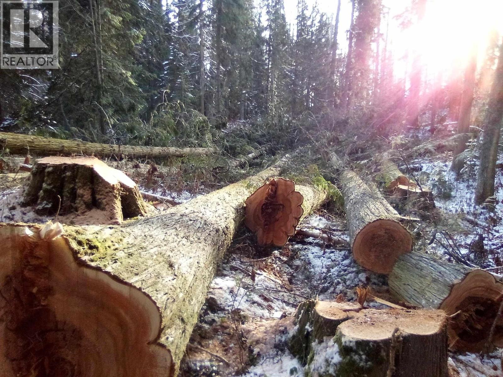 BLK D DOME CREEK, Dome Creek