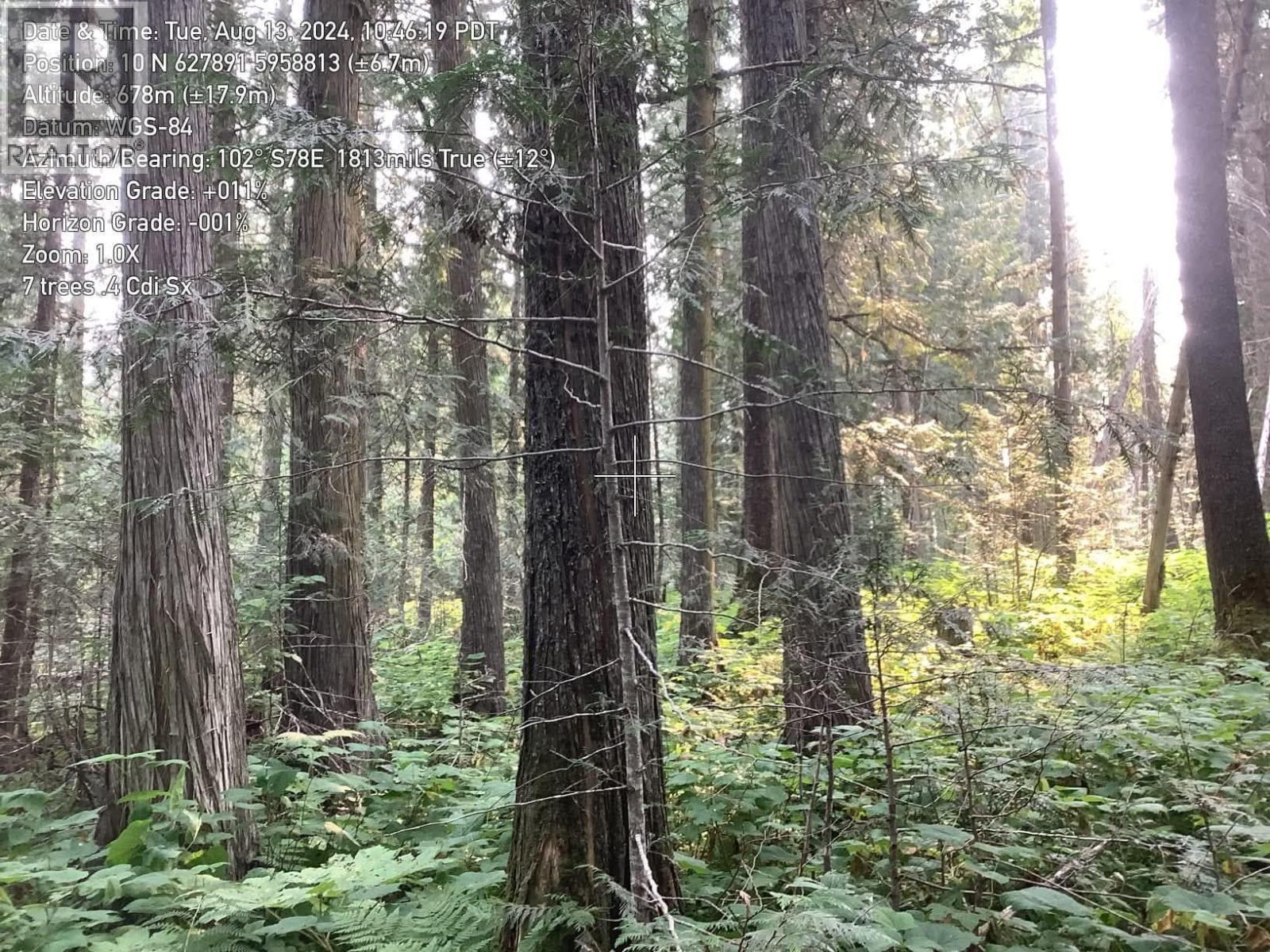 BLK D DOME CREEK, Dome Creek