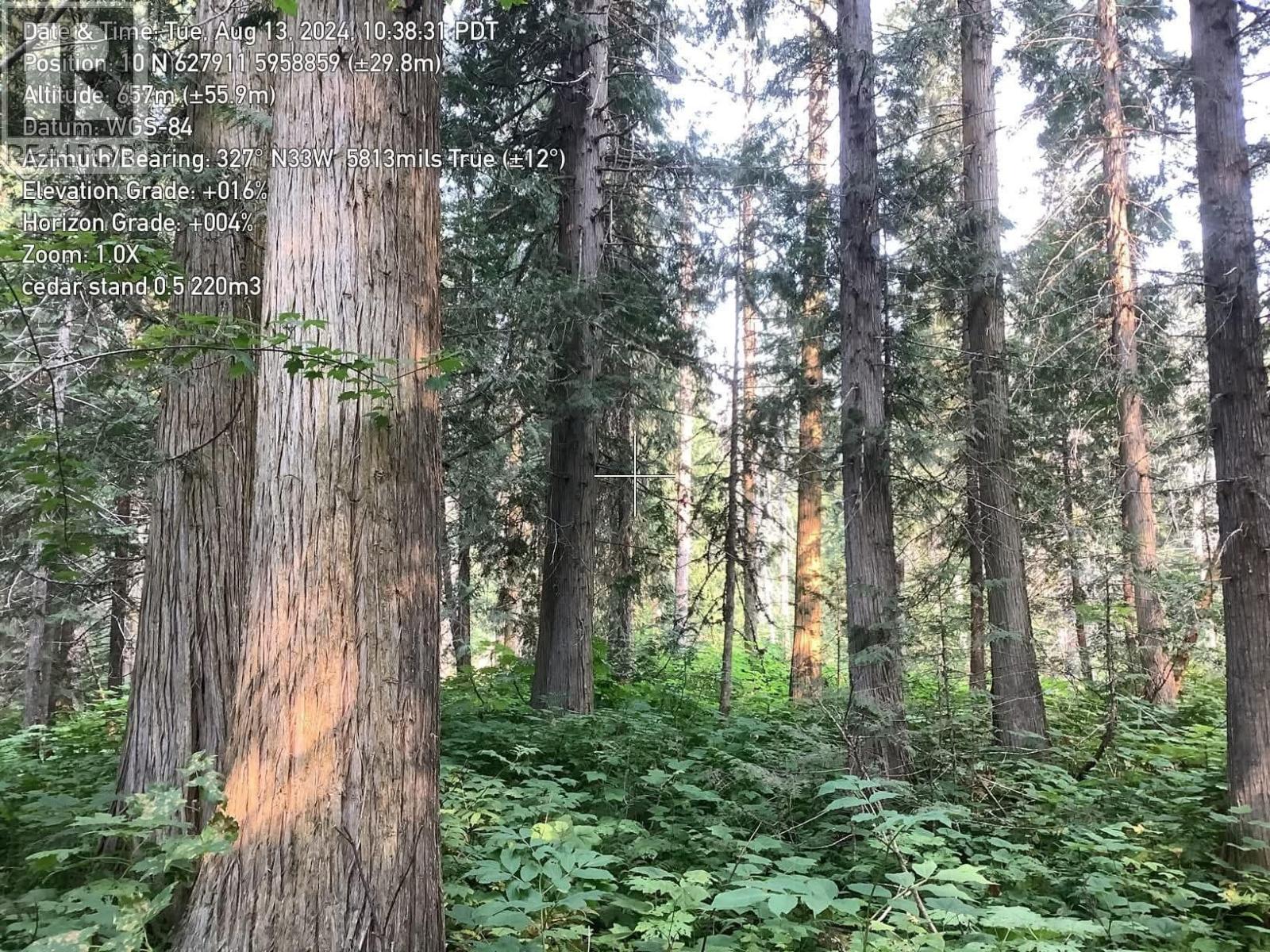 BLK D DOME CREEK, Dome Creek