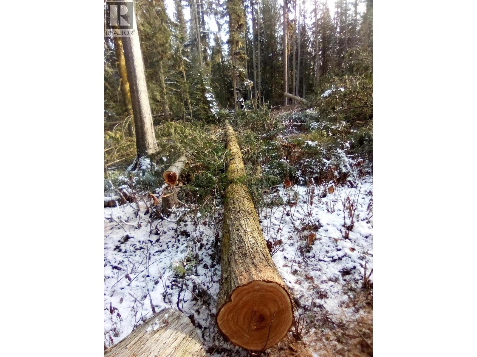 BLK D DOME CREEK, Dome Creek