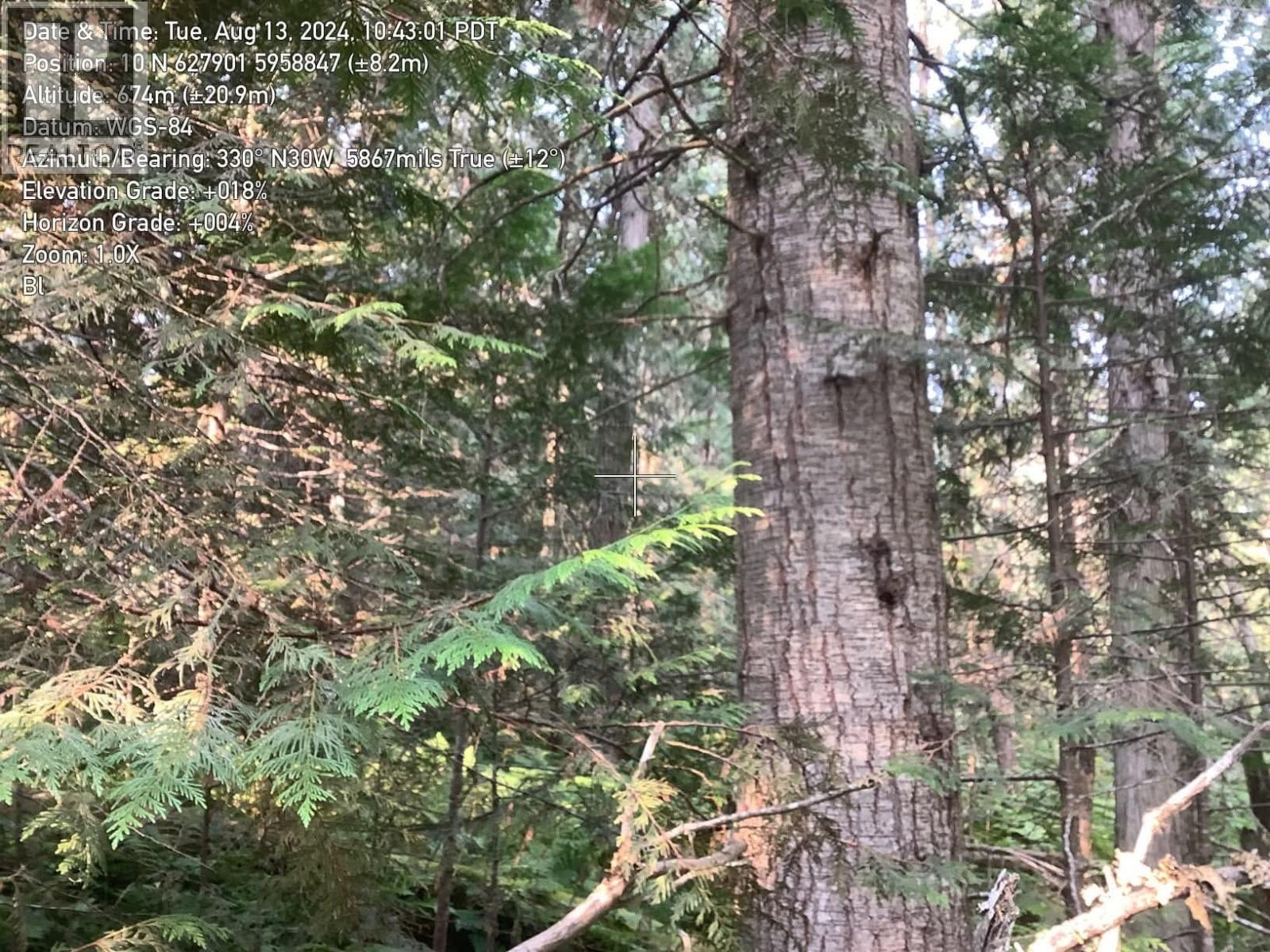 BLK D DOME CREEK, Dome Creek