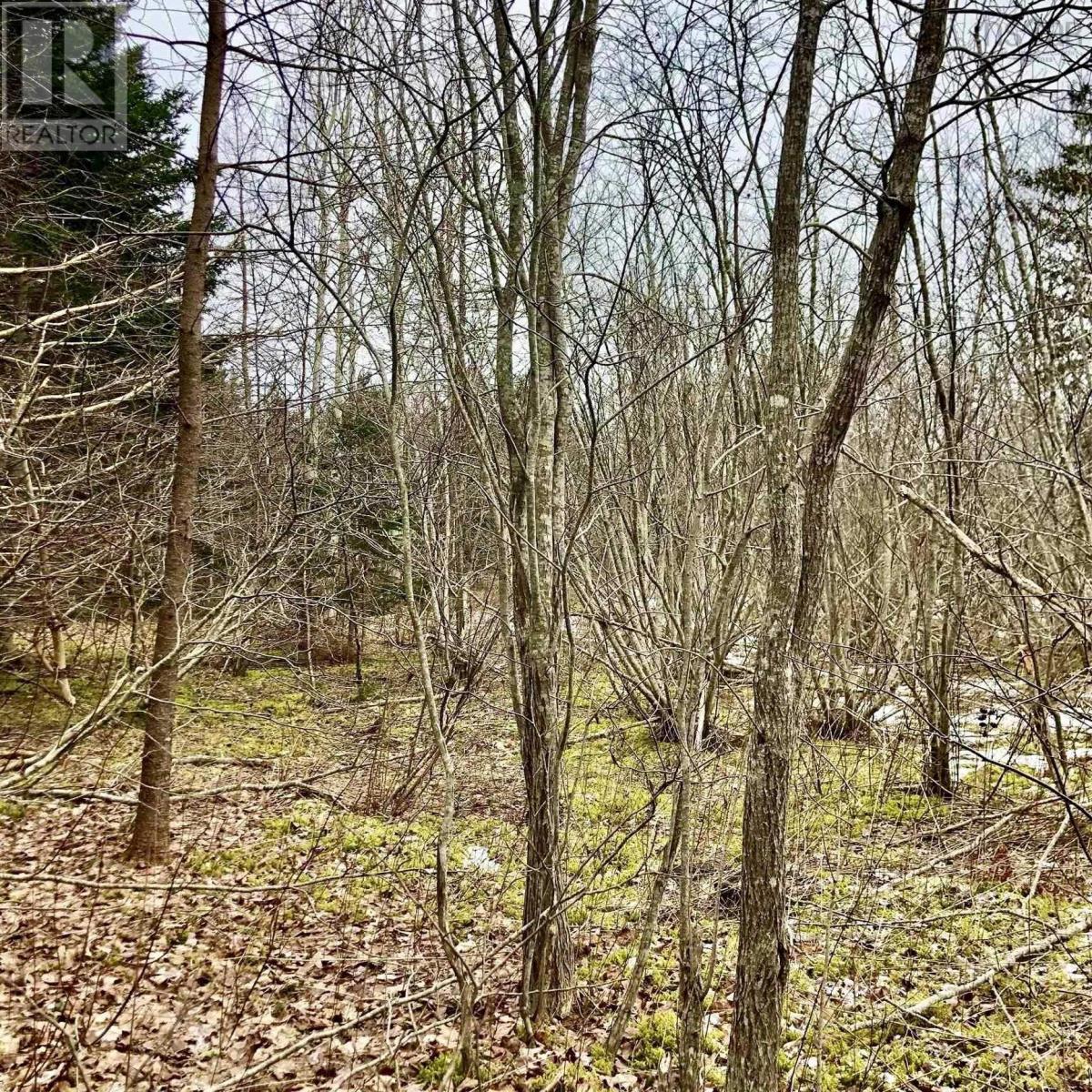 Property 4 of 9 of 0 Main Rd.