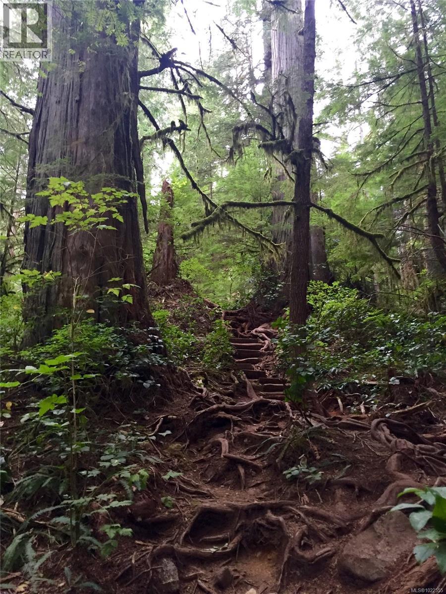 29 6240 Cerantes Rd, Port Renfrew