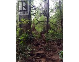 29 6240 Cerantes Rd, Port Renfrew, BC V0S1K0 Photo 18