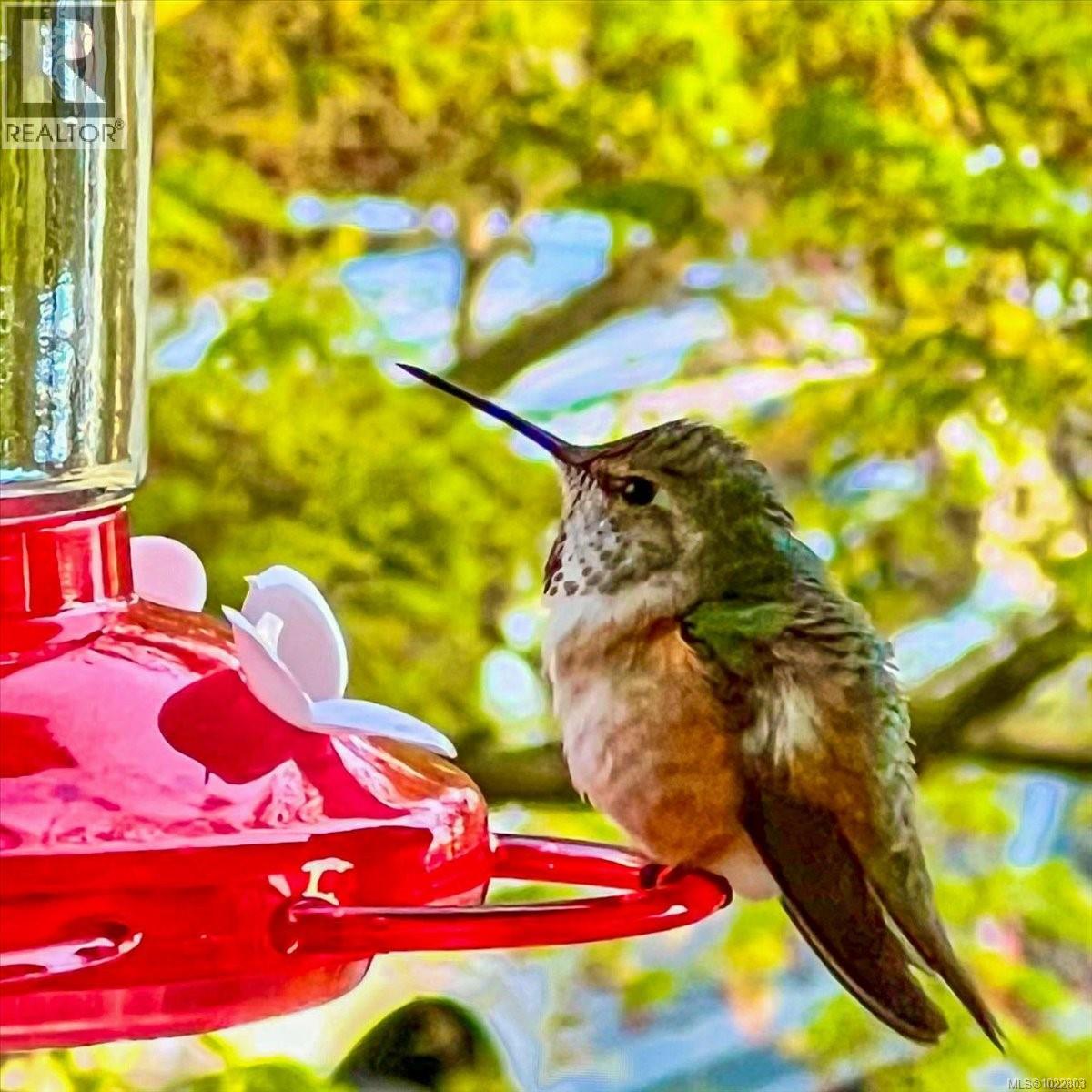 211 770 Poplar St, Nanaimo