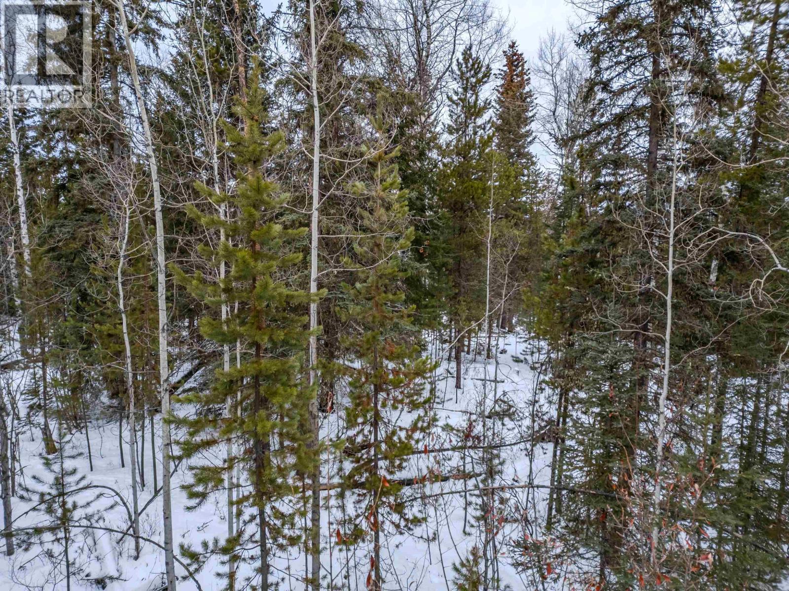 6317 HORSE LAKE ROAD - 8