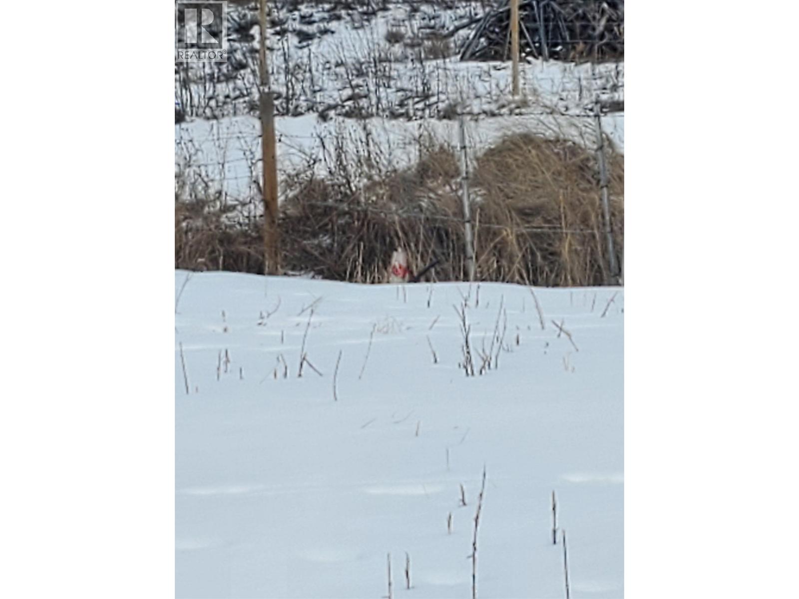 4841 TIMOTHY LAKE ROAD - 7