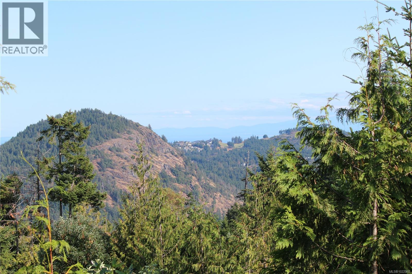 Lot 29 Goldstream Heights Drive - photo 2
