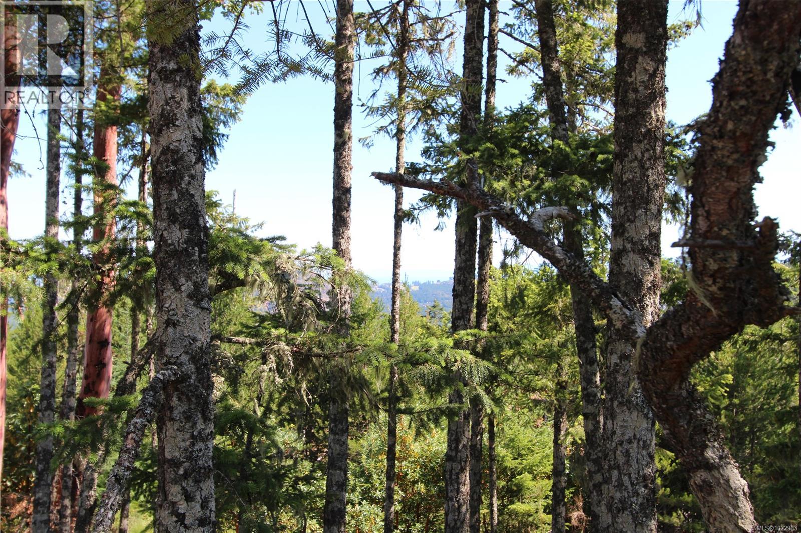 LOT 35 Goldstream Heights Dr — photo 11