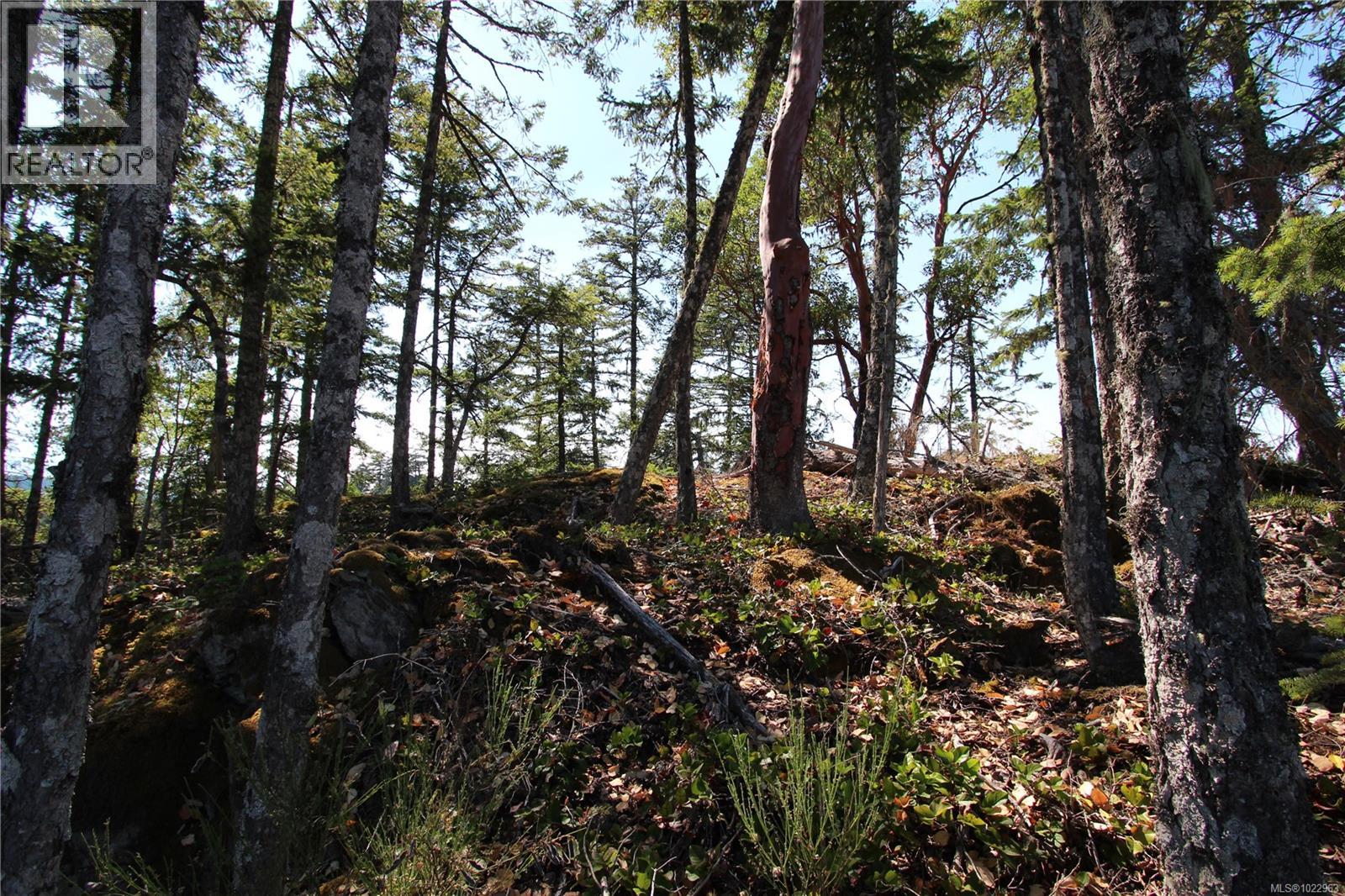 LOT 35 Goldstream Heights Dr — photo 25