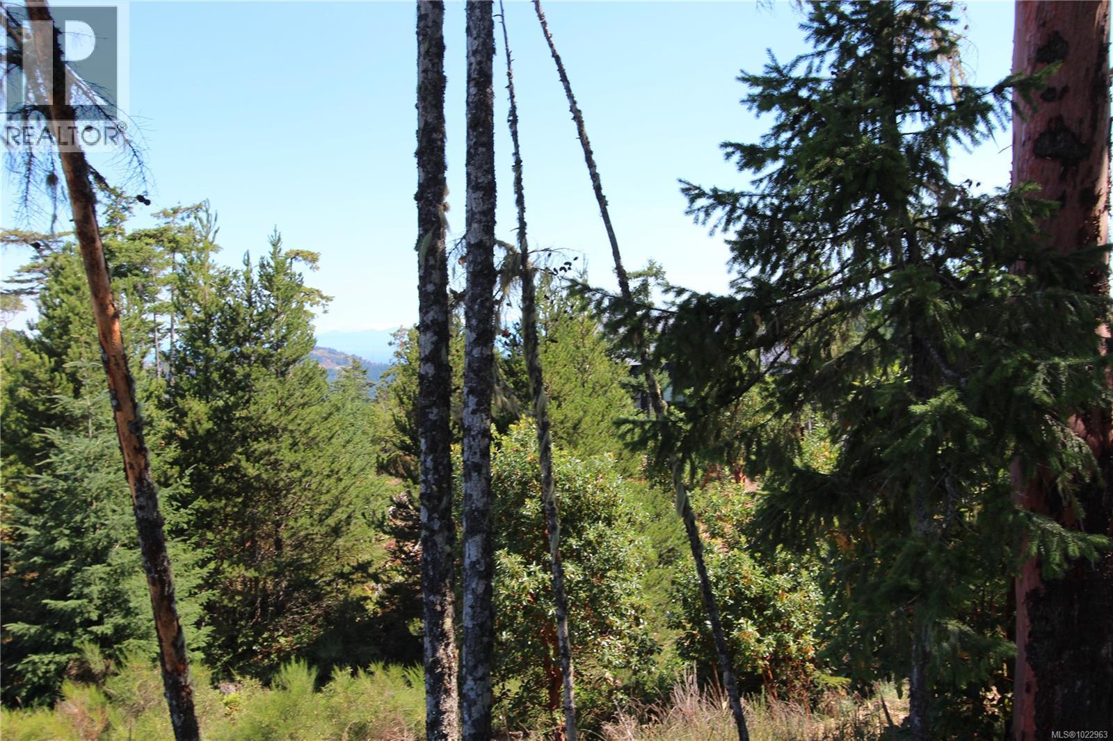 LOT 35 Goldstream Heights Dr — photo 28