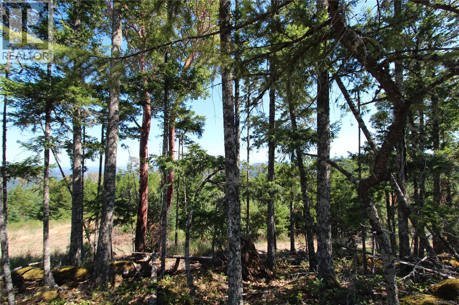LOT 35 Goldstream Heights Dr — photo 49