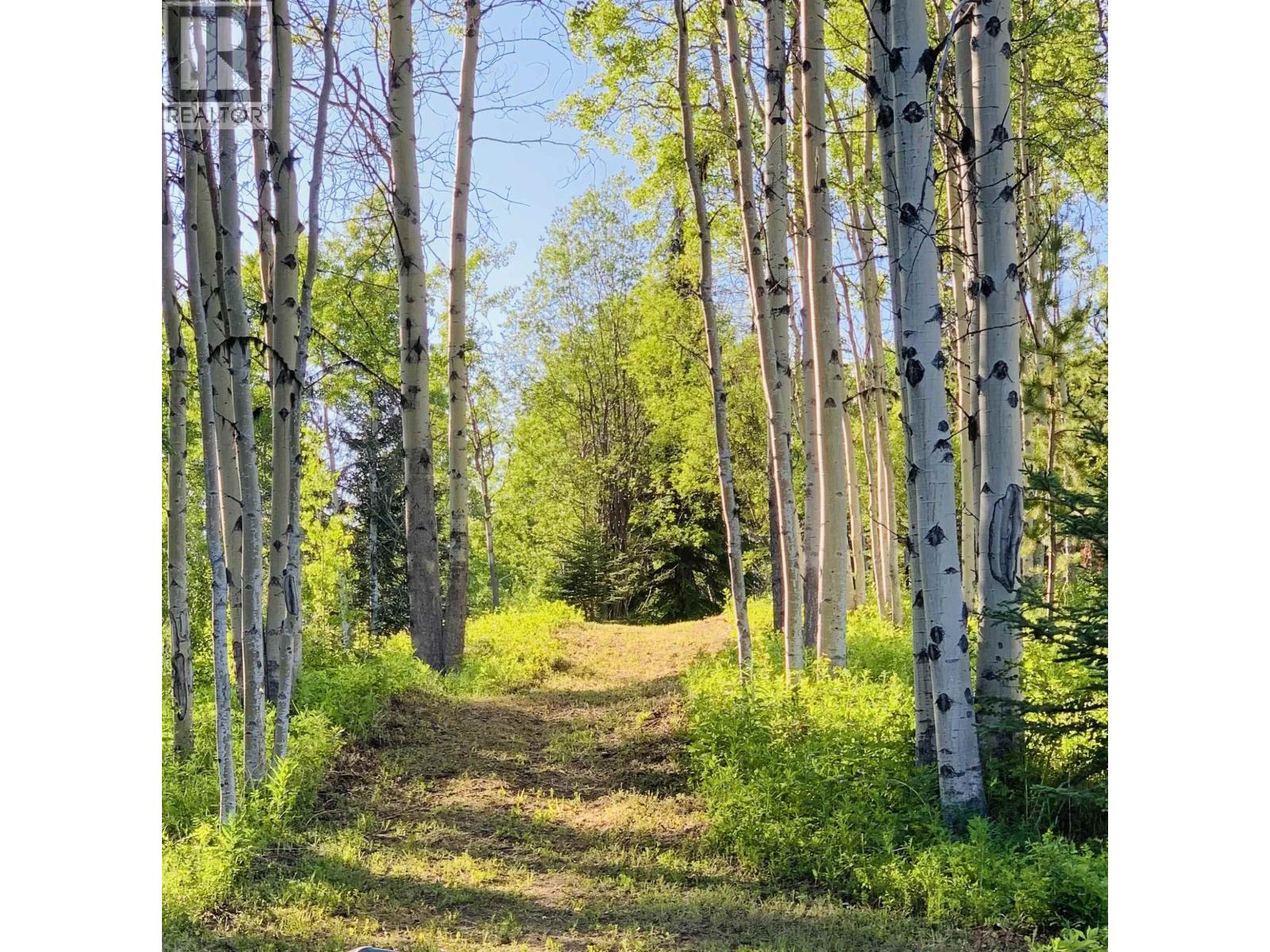 45455 BYRANSTON Drive, Burns Lake