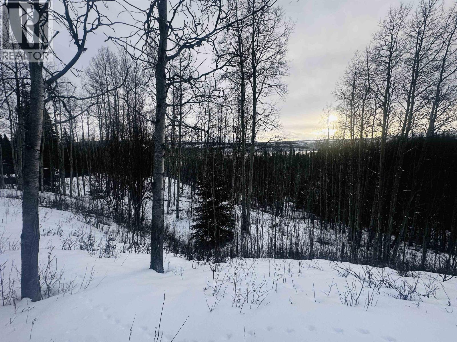 45455 BYRANSTON Drive, Burns Lake