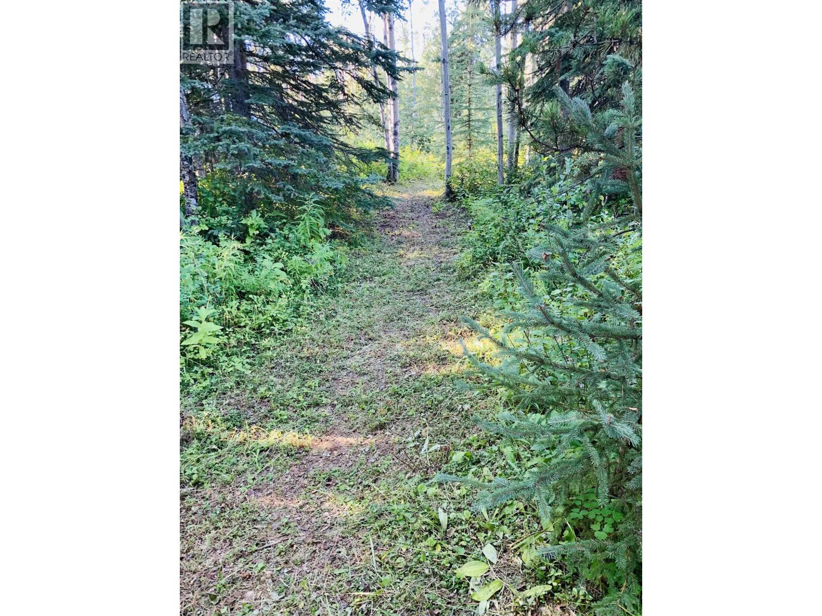 45455 BYRANSTON Drive, Burns Lake