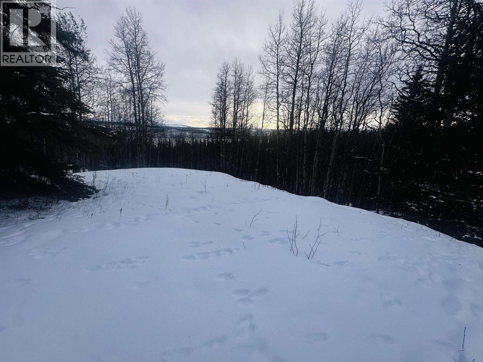 45455 BYRANSTON Drive, Burns Lake