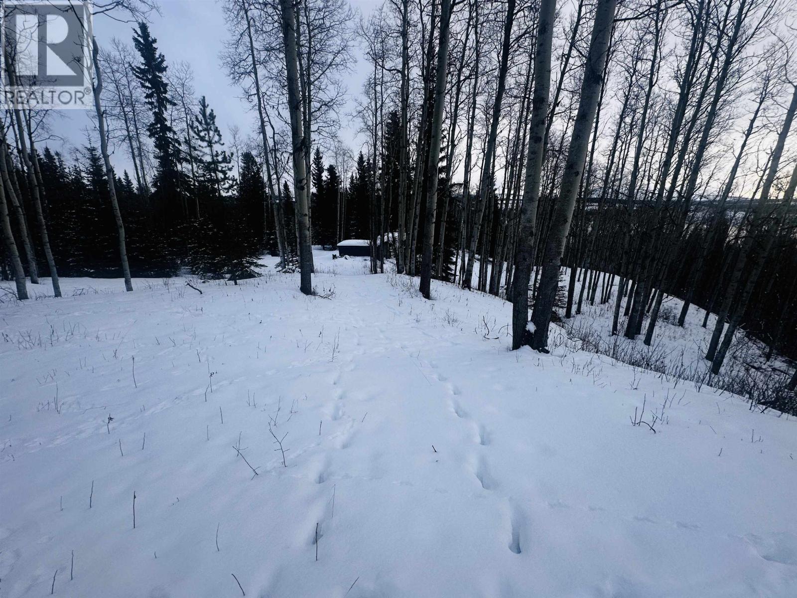 45455 BYRANSTON Drive, Burns Lake