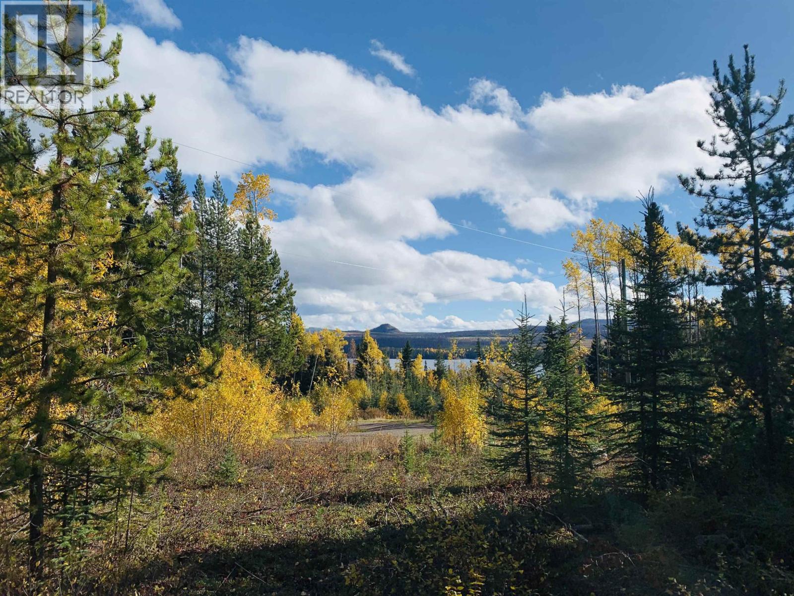 45455 BYRANSTON Drive, Burns Lake