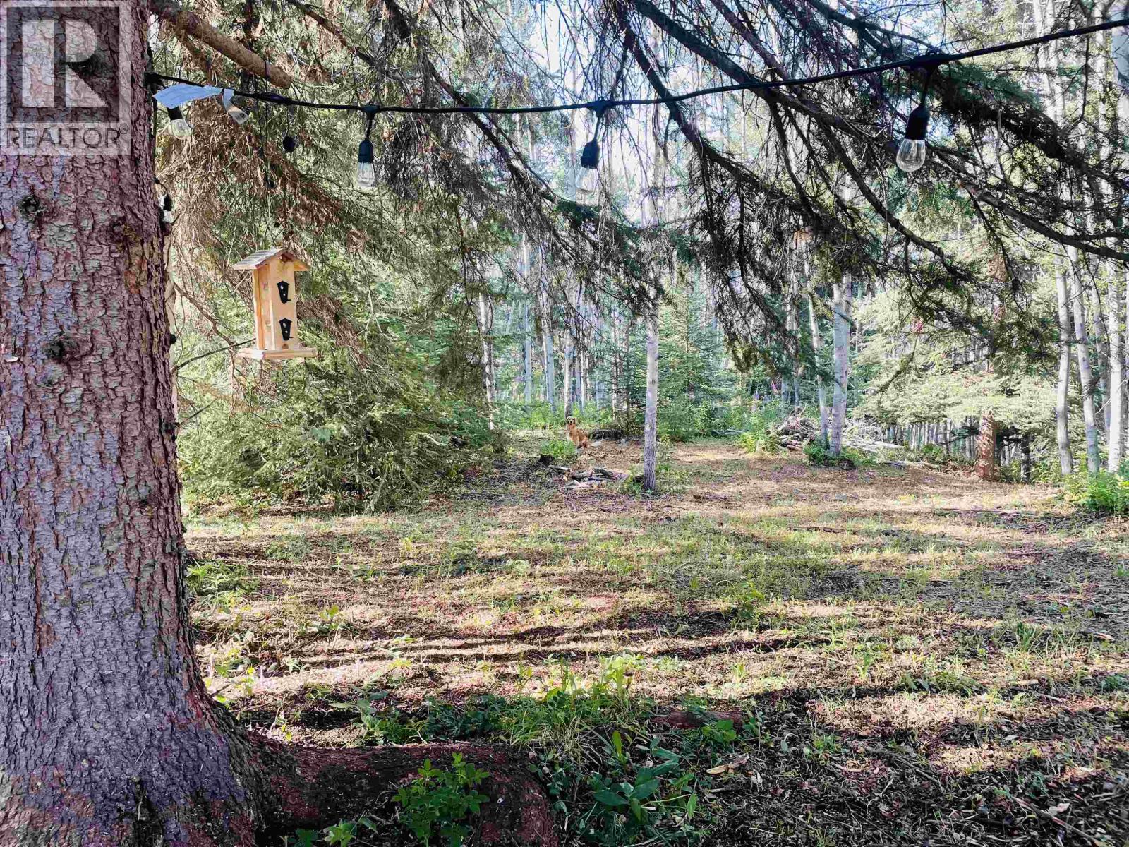 45455 BYRANSTON Drive, Burns Lake