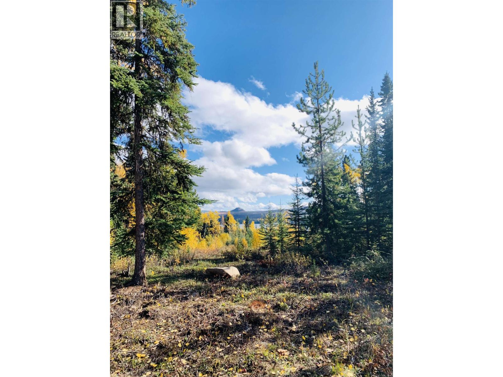 45455 BYRANSTON Drive, Burns Lake