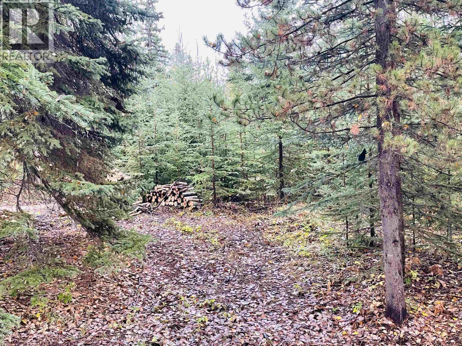 45455 BYRANSTON Drive, Burns Lake