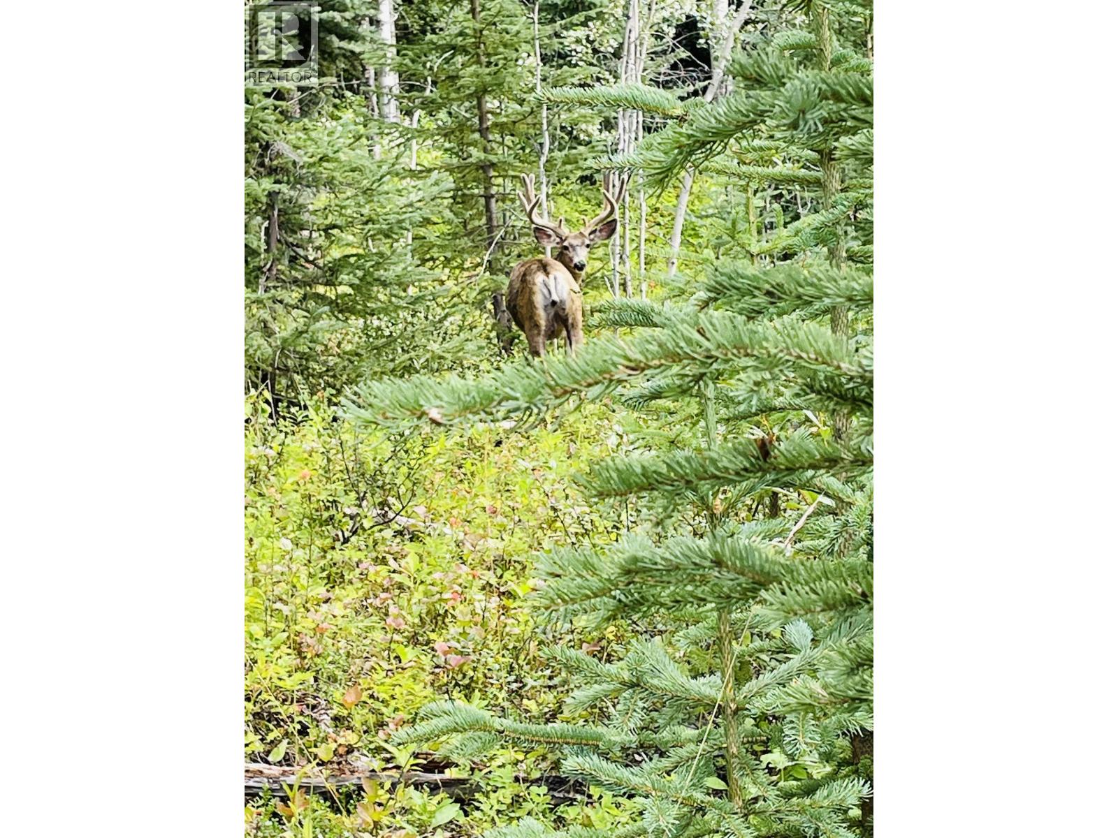 45455 BYRANSTON Drive, Burns Lake