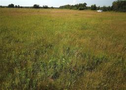 0 70w Road, Alonsa, MB R0H0A0 Photo 9