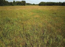 0 70w Road, Alonsa, MB R0H0A0 Photo 10