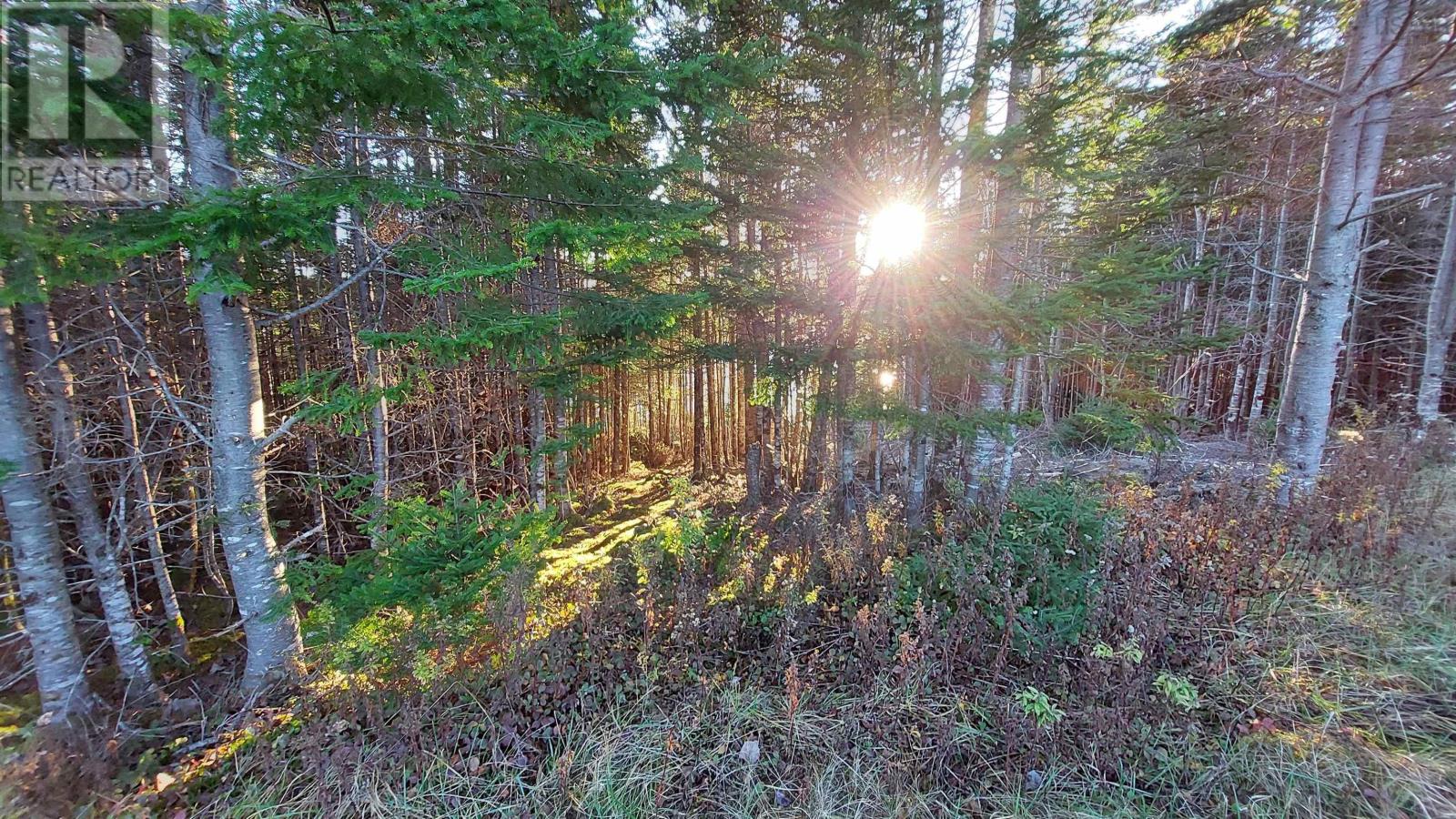 Property 3 of 19 of Lot 20 Helmuts Lane