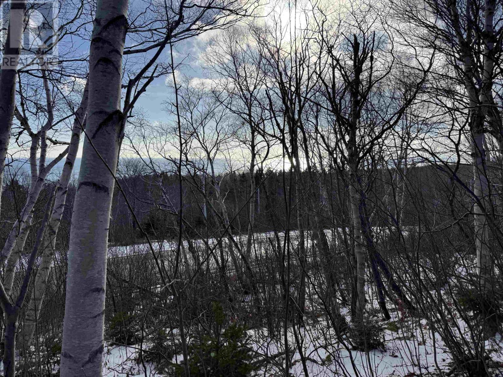 Property 16 of 18 of Cabot Trail