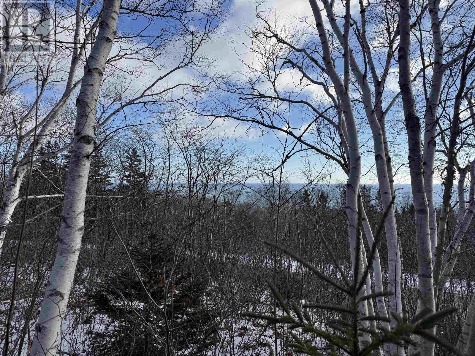 Property 4 of 18 of Cabot Trail
