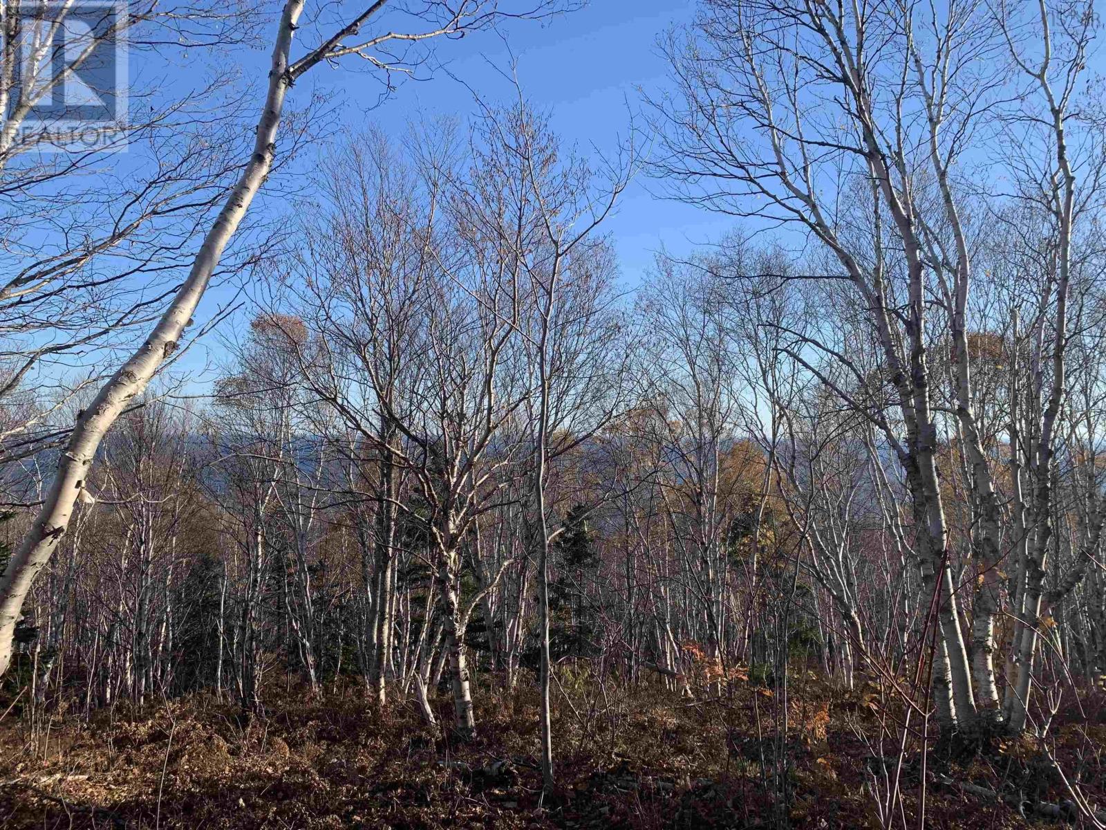 Property 5 of 18 of Cabot Trail