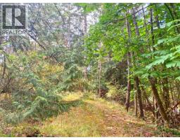 121 Whims Rd, Salt Spring, BC V8K1B2 Photo 17