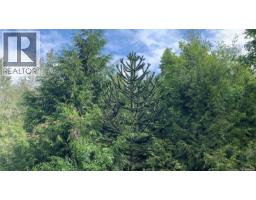 121 Whims Rd, Salt Spring, BC V8K1B2 Photo 18